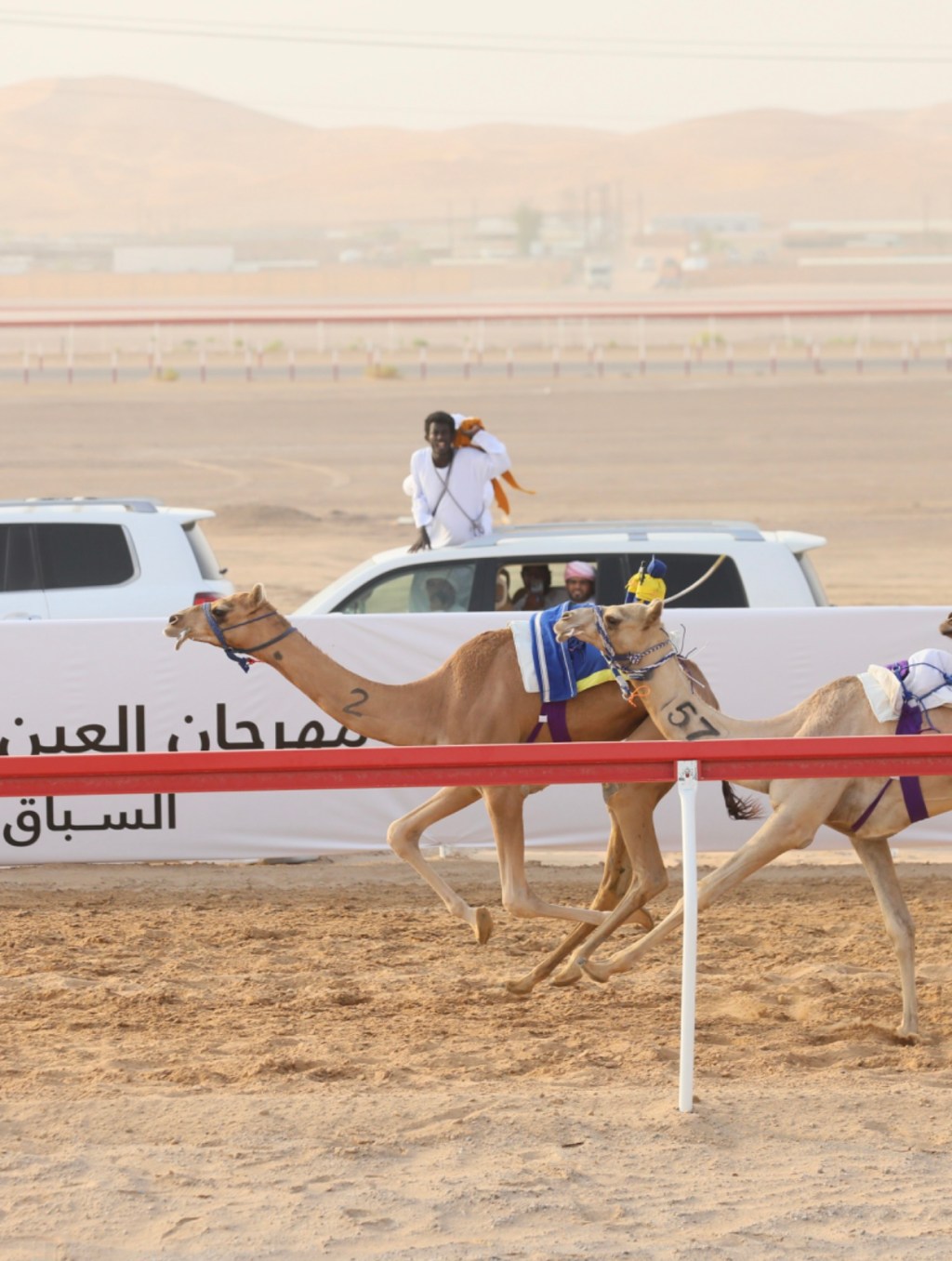 Al Ain Camel Racing Festival kicks off its second round at Al Rawdah&nbsp;Racecourse